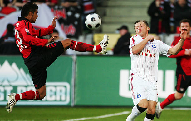 家队的每一 家队的每一