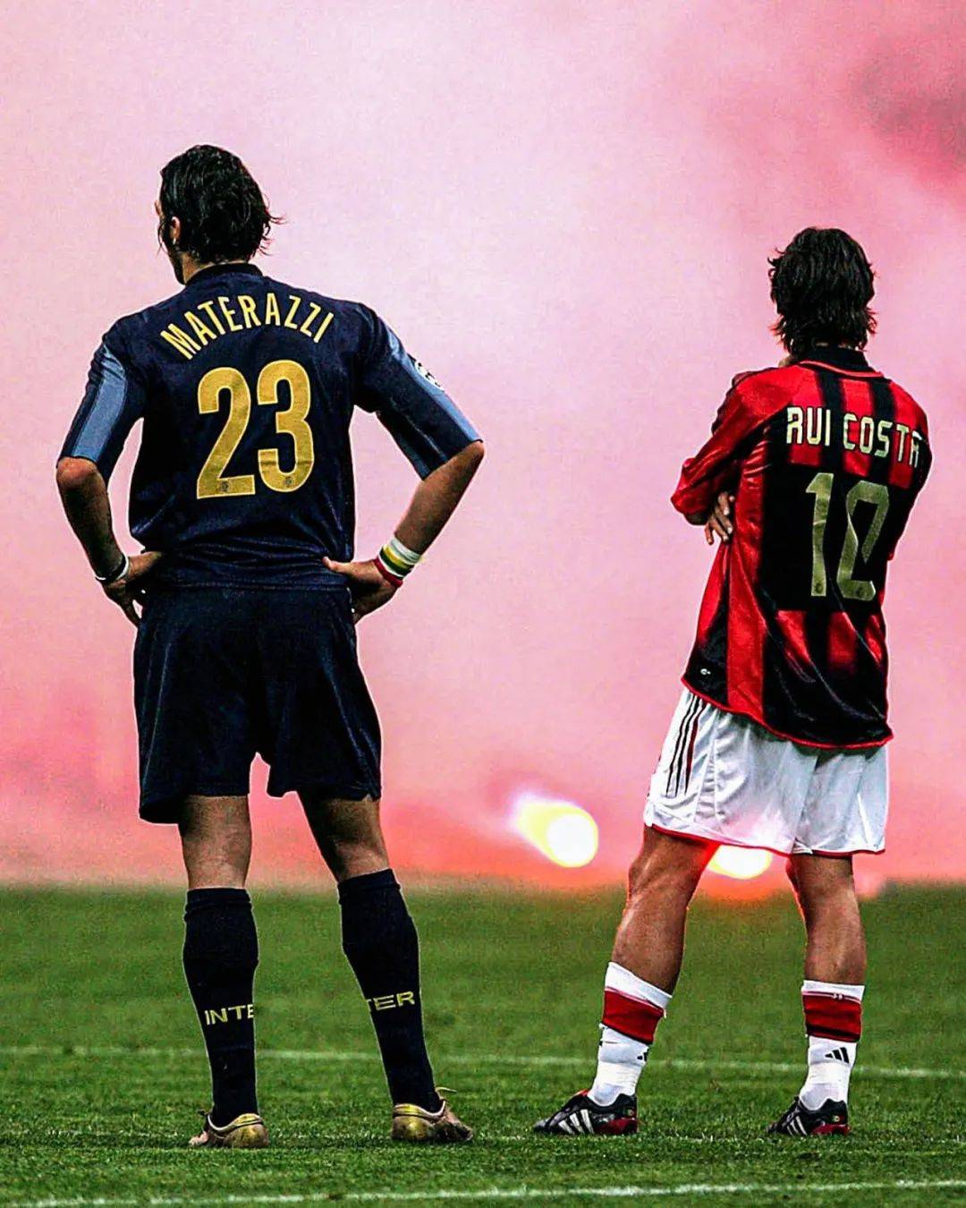 从近年来的 从近年来的