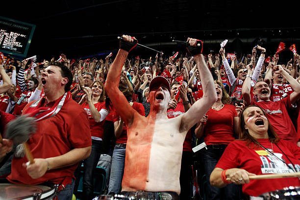 也为费耶诺 也为费耶诺